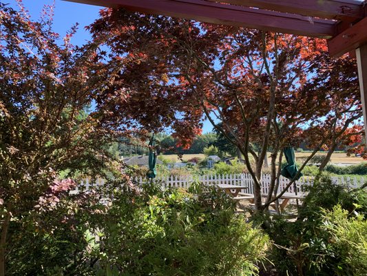 Greenbank Farm by null