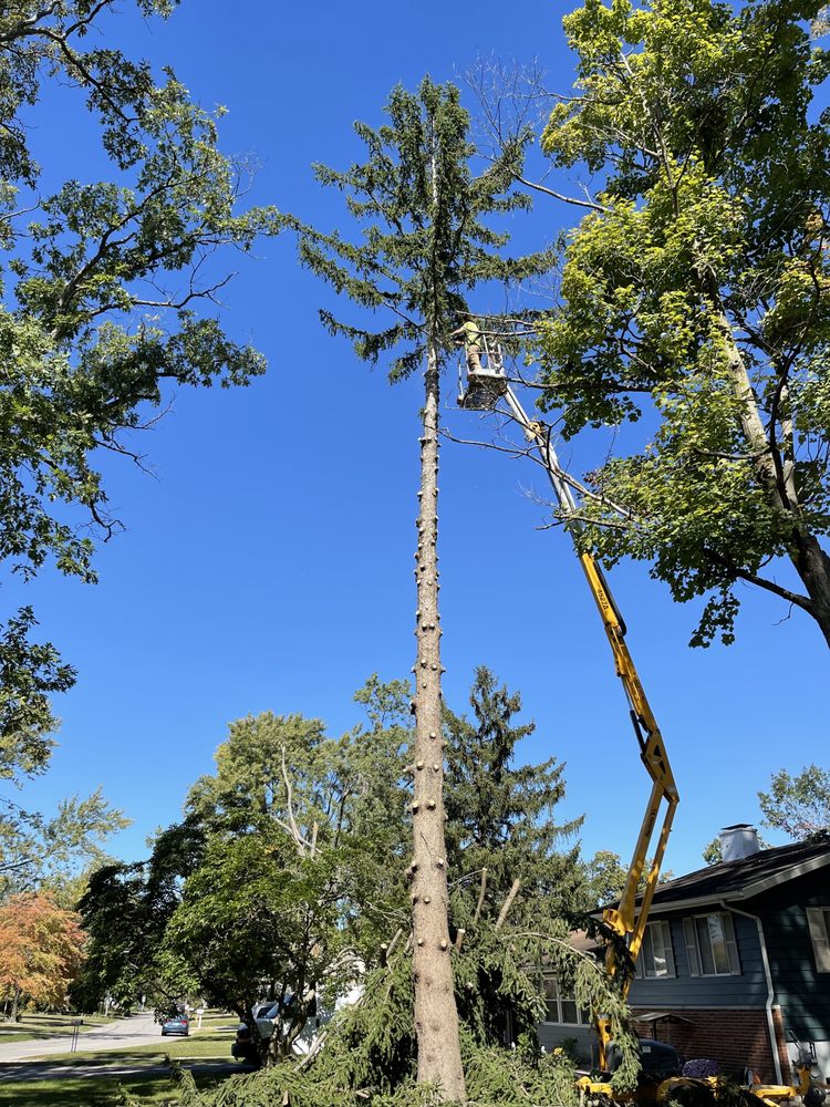 Superscape Landscaping & More - tree service in Fort Wayne, IN