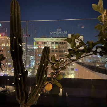 Lemon Grove - View - Cocktail Bars Near Me - Los Angeles, California