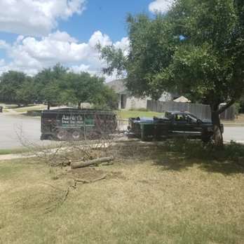 Aaron's Tree Service - During the tree cut down and trimming process - Tree Services Near Me - Austin, Texas