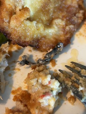 Lucky's Steakhouse by null