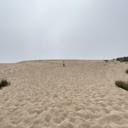 Monarch Butterfly Groves - Los Osos - It was not fun climbing the sand dune