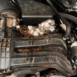 Fix N Smog - I live in Big Bear Lake, thus this rats nest