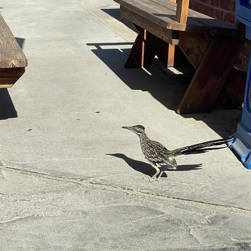 Western Diner - A friendly visit - Breakfast & Brunch Near Me - Yucca Valley, California Western Diner - A friendly visit - Breakfast & Brunch Near Me - Yucca Valley, California