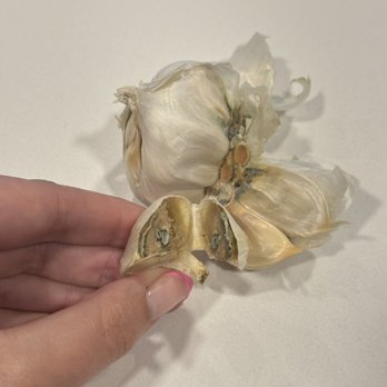 Trader Joe's - Horribly molded garlic. - Grocery Near Me - Austin, Texas
