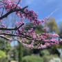 Photo of Meditation Gardens of Orange County