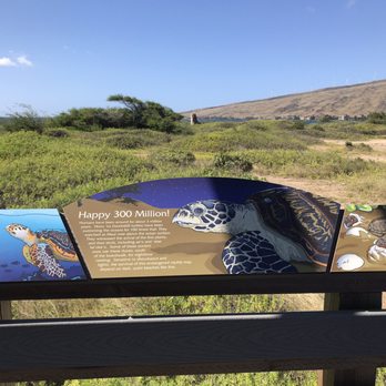 Keālia Coastal Boardwalk - Hiking Near Me Keālia Coastal Boardwalk - Hiking Near Me