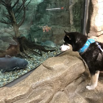 Bass Pro Shop - If it's got whiskers he won't like it. - Sports Wear Near Me - Utica, New York