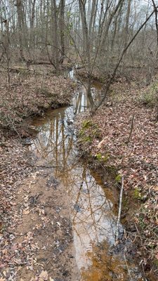 Daniel Stowe Conservancy by null