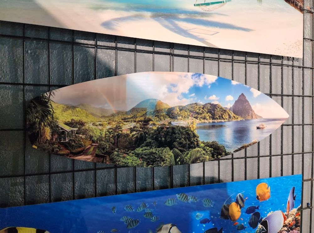 The Lost Turtle Logo