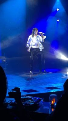 MJ The Evolution by null