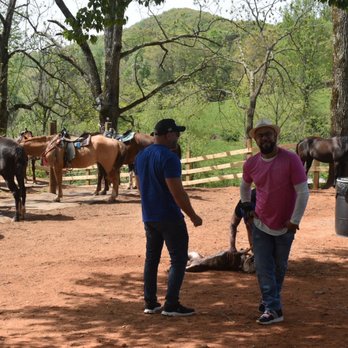 Cowgirl Up Stables - Horseback Riding Near Me - Cherry Log, Georgia