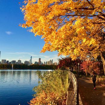 Central Park Conservancy - Parks Near Me - New York, New York Central Park Conservancy - Parks Near Me - New York, New York