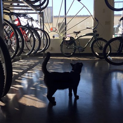 DC-10 Doug Chandler Performance by null