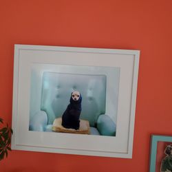 Frame of Mind - Pinky Novak by Lucy Snowe