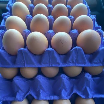 Billy's Egg Farm - Specialty Food Near Me - Chino, California Billy's Egg Farm - Specialty Food Near Me - Chino, California