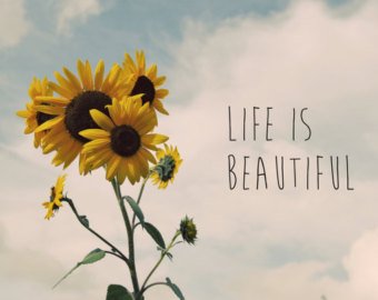Sunflower Counseling Services - grief counselor in Memphis, TN
