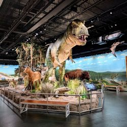 ICR Discovery Center - Dinosaur exhibit.
