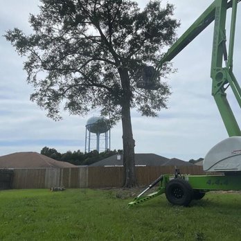 JP & Sons Tractor Services - Tree Services Near Me