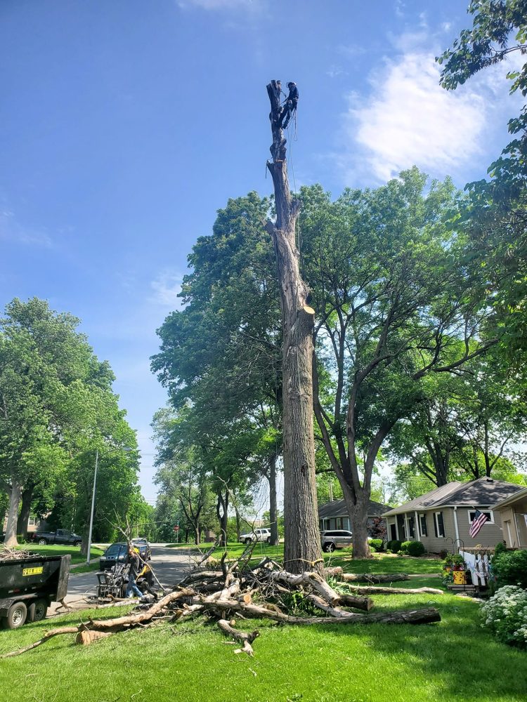 RAMOS TREE CARE - Updated June 2026 - Lee's Summit, Missouri - Tree ...