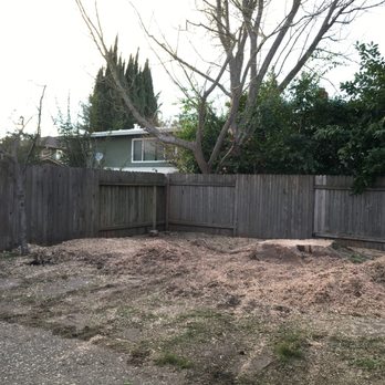 Bud's Tri-County Tree Services - After - Tree Services Near Me - West Sacramento, California Bud's Tri-County Tree Services - After - Tree Services Near Me - West Sacramento, California