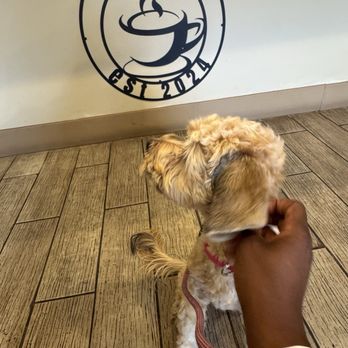 E61 Cafe - Coffee & Tea Near Me - Saint Louis, Missouri