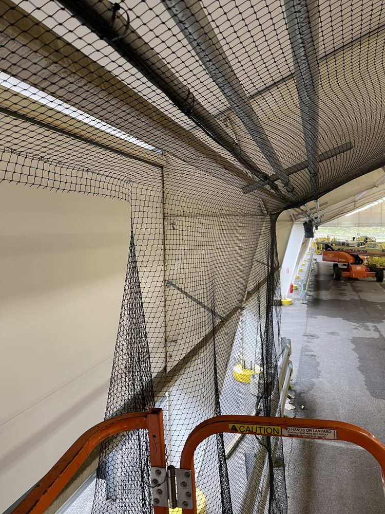 SAME DAY WILDLIFE REMOVAL Updated May 2024 29 Photos 2982