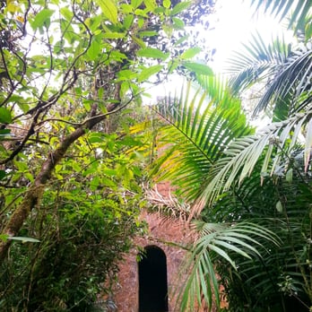 El Yunque Rainforest - Mount Britton tower - Hiking Near Me - Luquillo, Puerto Rico El Yunque Rainforest - Mount Britton tower - Hiking Near Me - Luquillo, Puerto Rico
