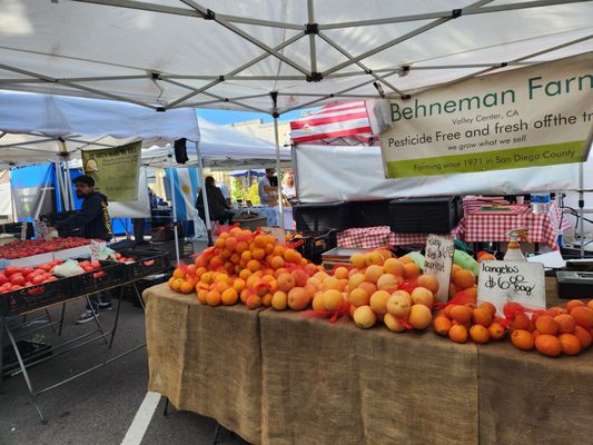 State Street Farmers Market by null