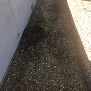 Microcosm Landscaping - Before Microcosm - Landscaping Near Me