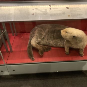 Alaska State Museum - Art Museums Near Me - Juneau, Alaska