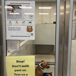 Nebraska Humane Society - When we first met our new dog!
