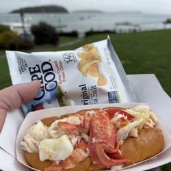 Frenchman Bay Lobster Rolls - The best lobster roll I've ever had!