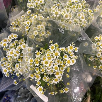 Safeway - Chamomile bunches (Oct 2025) - Grocery Near Me - Turlock, California