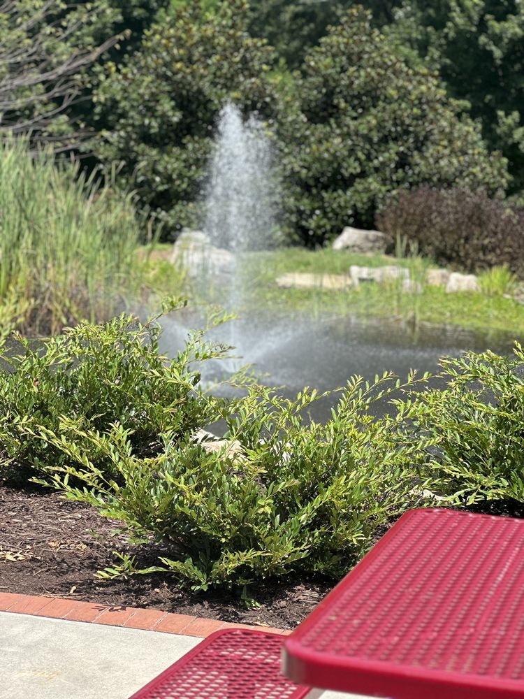 Village Park Logo