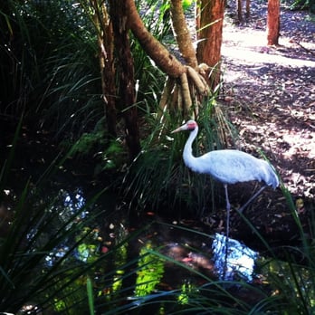 Australia Zoo - Zoos Near Me - Beerwah, QLD