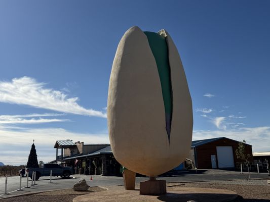 McGinn's PistachioLand by null