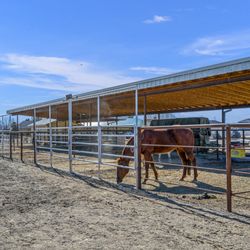 Dunn Rite Ranch