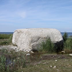 Gellort - Siebenschneiderstein