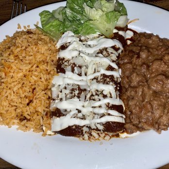 Olé - Enchiladas Mole - Mexican Near Me - Cambridge, Massachusetts