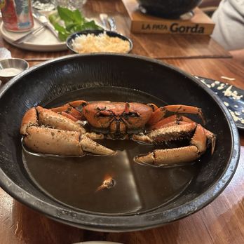 La Pata Gorda - Whole crab yuk! - Seafood Near Me - Coral Gables, Florida La Pata Gorda - Whole crab yuk! - Seafood Near Me - Coral Gables, Florida