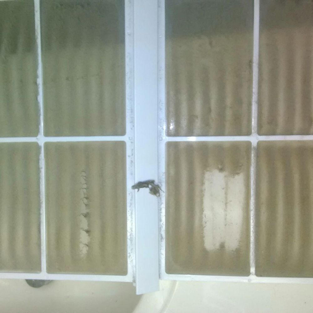 Baymont by Wyndham Willows - Ac filters that could gag a maggot!!! - Hotels Near Me - Willows, California
