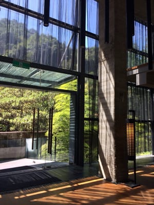 Onsen Papawaqa by null