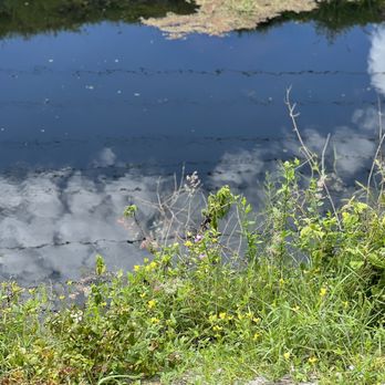 T-Rex Trail - Parks Near Me - Boca Raton, Florida