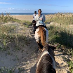 Equine Adventures