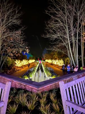 Daniel Stowe Conservancy by null