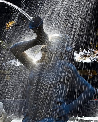 Forsyth Park by null