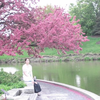 Chicago Botanic Garden - redbud in the sensory garden - Botanical Gardens Near Me - Glencoe, Illinois