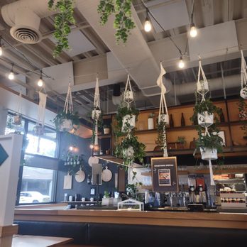 Basil & Board - Pizza Near Me - Salem, Oregon