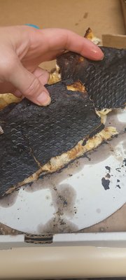 800 Degrees Neapolitan Pizzeria NEWoMan by null